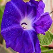 ヒメ日記 2025/09/21 11:47 投稿 名取 ニューヨークニューヨーク