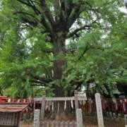 ヒメ日記 2025/10/03 19:31 投稿 名取 ニューヨークニューヨーク