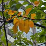 ヒメ日記 2025/10/05 14:54 投稿 名取 ニューヨークニューヨーク