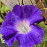 ヒメ日記 2025/10/18 18:51 投稿 名取 ニューヨークニューヨーク