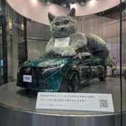 ヒメ日記 2025/11/08 23:32 投稿 名取 ニューヨークニューヨーク