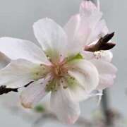 ヒメ日記 2025/11/09 23:11 投稿 名取 ニューヨークニューヨーク