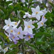 ヒメ日記 2025/11/15 23:20 投稿 名取 ニューヨークニューヨーク