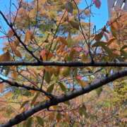 ヒメ日記 2025/11/17 00:16 投稿 名取 ニューヨークニューヨーク