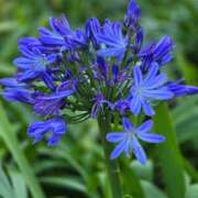 ヒメ日記 2025/11/21 10:45 投稿 名取 ニューヨークニューヨーク