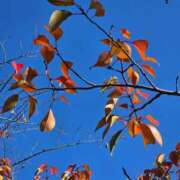 ヒメ日記 2025/11/23 11:51 投稿 名取 ニューヨークニューヨーク