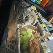 ヒメ日記 2025/11/23 23:31 投稿 名取 ニューヨークニューヨーク