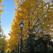 ヒメ日記 2025/11/28 23:18 投稿 名取 ニューヨークニューヨーク