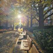 ヒメ日記 2025/11/29 14:01 投稿 名取 ニューヨークニューヨーク