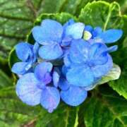 ヒメ日記 2025/12/05 12:43 投稿 名取 ニューヨークニューヨーク