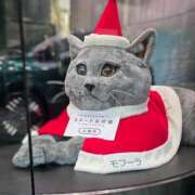 名取 雨は上がりましたが ニューヨークニューヨーク