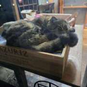 ヒメ日記 2026/01/23 23:18 投稿 名取 ニューヨークニューヨーク