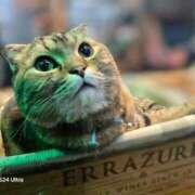 ヒメ日記 2026/01/25 22:31 投稿 名取 ニューヨークニューヨーク