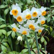 ヒメ日記 2026/01/30 23:14 投稿 名取 ニューヨークニューヨーク