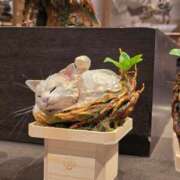 ヒメ日記 2026/02/02 00:04 投稿 名取 ニューヨークニューヨーク