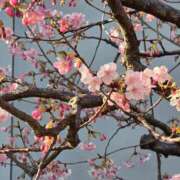 ヒメ日記 2026/02/06 12:44 投稿 名取 ニューヨークニューヨーク