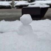 ヒメ日記 2026/02/08 14:27 投稿 名取 ニューヨークニューヨーク