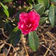 ヒメ日記 2026/02/14 00:10 投稿 名取 ニューヨークニューヨーク