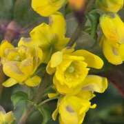 ヒメ日記 2026/02/28 12:21 投稿 名取 ニューヨークニューヨーク