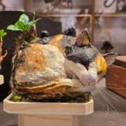 名取 ありがとうございました😆💕✨ ニューヨークニューヨーク