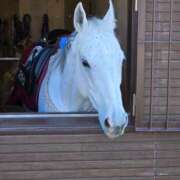 ヒメ日記 2026/03/13 14:29 投稿 名取 ニューヨークニューヨーク