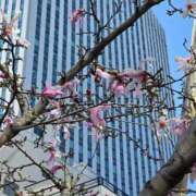 ヒメ日記 2026/03/13 23:26 投稿 名取 ニューヨークニューヨーク