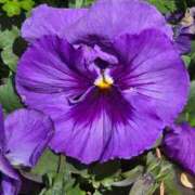 ヒメ日記 2026/03/14 15:14 投稿 名取 ニューヨークニューヨーク