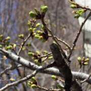 ヒメ日記 2026/03/14 23:52 投稿 名取 ニューヨークニューヨーク