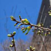 ヒメ日記 2026/03/15 18:25 投稿 名取 ニューヨークニューヨーク