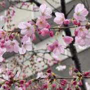 ヒメ日記 2026/03/20 12:02 投稿 名取 ニューヨークニューヨーク