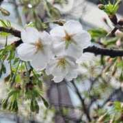 ヒメ日記 2026/03/20 14:46 投稿 名取 ニューヨークニューヨーク