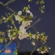 ヒメ日記 2026/03/20 23:20 投稿 名取 ニューヨークニューヨーク