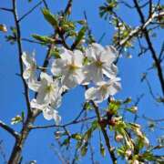 ヒメ日記 2026/03/21 14:35 投稿 名取 ニューヨークニューヨーク