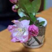 ヒメ日記 2026/03/27 15:06 投稿 名取 ニューヨークニューヨーク