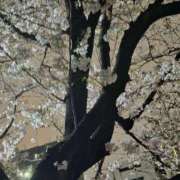 ヒメ日記 2026/03/27 23:10 投稿 名取 ニューヨークニューヨーク