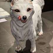 ヒメ日記 2026/03/28 23:20 投稿 名取 ニューヨークニューヨーク