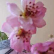 ヒメ日記 2026/03/29 14:47 投稿 名取 ニューヨークニューヨーク