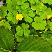 ヒメ日記 2026/04/03 14:29 投稿 名取 ニューヨークニューヨーク