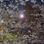 ヒメ日記 2026/04/03 22:56 投稿 名取 ニューヨークニューヨーク