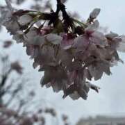 ヒメ日記 2026/04/04 14:28 投稿 名取 ニューヨークニューヨーク