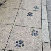 名取 ありがとうございました😆💕✨ ニューヨークニューヨーク