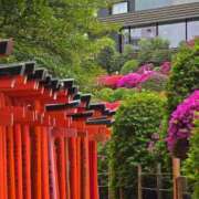 ヒメ日記 2026/04/19 23:22 投稿 名取 ニューヨークニューヨーク