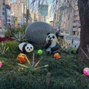 ヒメ日記 2024/12/18 15:31 投稿 かなえ ニューヨークニューヨーク