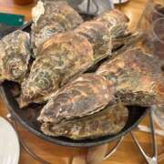 ヒメ日記 2025/11/14 19:29 投稿 かなえ ニューヨークニューヨーク