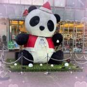 ヒメ日記 2025/12/05 19:21 投稿 かなえ ニューヨークニューヨーク