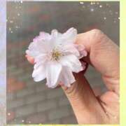 ヒメ日記 2026/04/03 15:32 投稿 かなえ ニューヨークニューヨーク