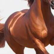 ヒメ日記 2024/12/15 18:05 投稿 まり ニューヨークニューヨーク