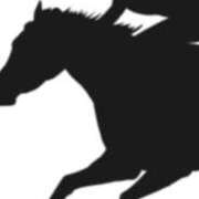 ヒメ日記 2024/12/15 20:07 投稿 まり ニューヨークニューヨーク