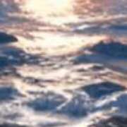 ヒメ日記 2024/12/18 16:05 投稿 まり ニューヨークニューヨーク