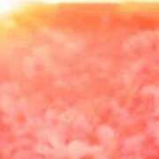 ヒメ日記 2024/12/19 18:50 投稿 まり ニューヨークニューヨーク